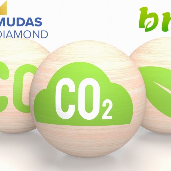 Surat-based Lab-Grown Diamond Exporter Mudas Diamond partnered with BNZ X for Carbon Neutrality